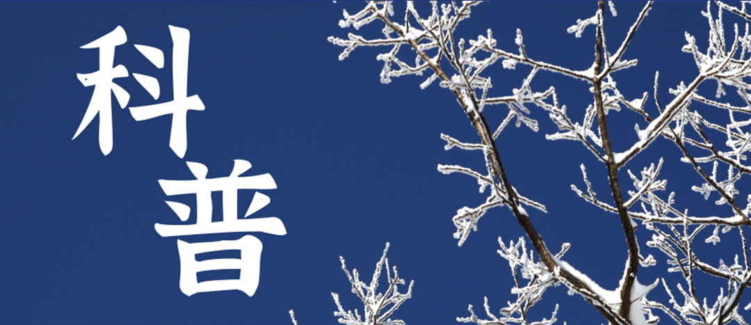科普 | 冬季雨雪天氣?；愤\(yùn)輸車輛注意事項(xiàng)