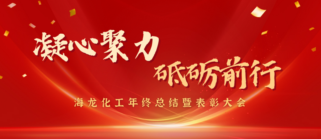 表彰 | 凝心聚力，砥礪前行，海龍化工年終總結(jié)暨表彰大會(huì)圓滿舉行